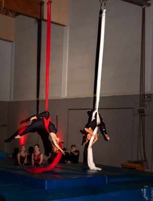 4. MTV-Weihnachtszirkus